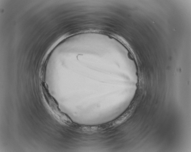 X0000082750859200702240037