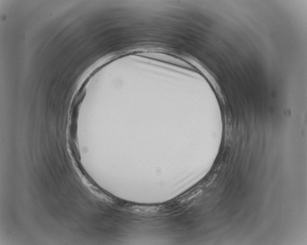 X0000082750861200702240037