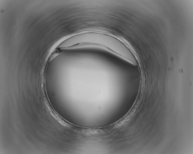 X0000082750862200702240037