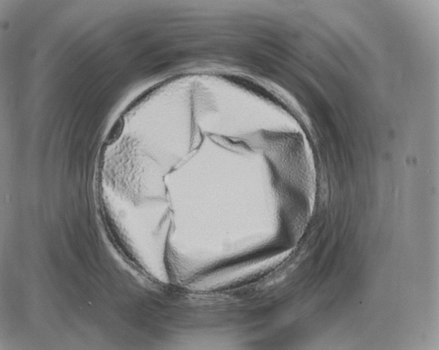 X0000082750863200702240037