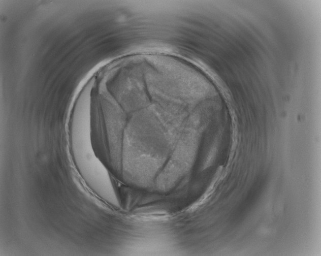 X0000082750864200702240037