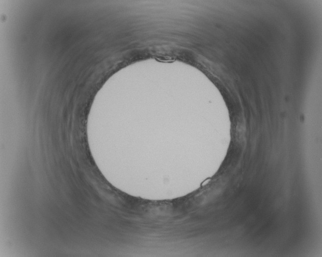 X0000082750865200702240036