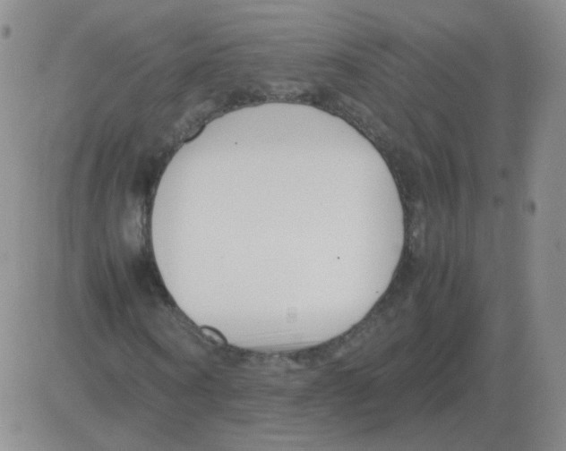 X0000082750866200702240036