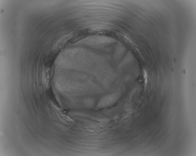 X0000082750868200702240036