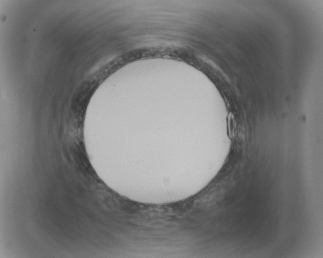 X0000082750869200702240036