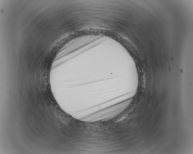 X0000082750870200702240036