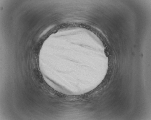 X0000082750871200702240036