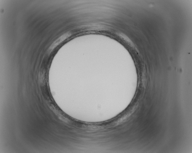 X0000082750873200702240036