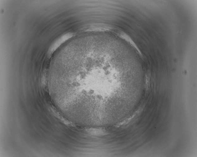 X0000082750874200702240036