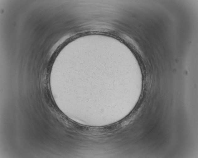 X0000082750875200702240036