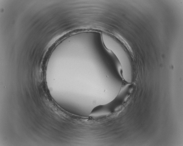 X0000082750876200702240036