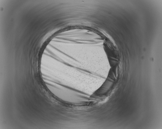 X0000082750877200702240036