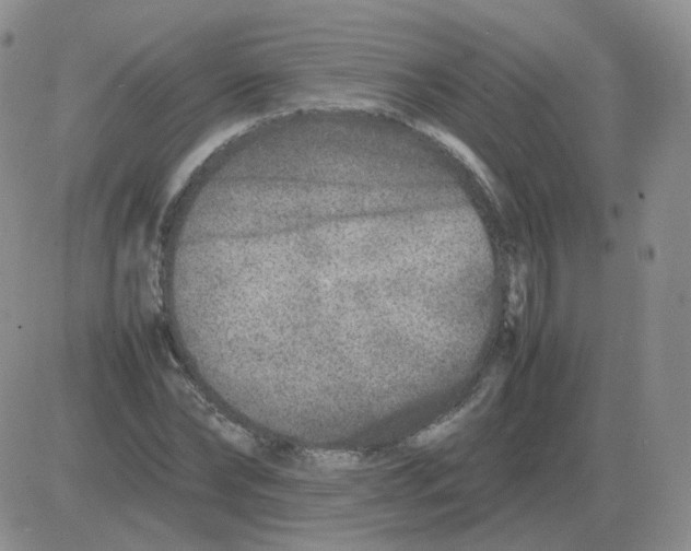 X0000082750878200702240036