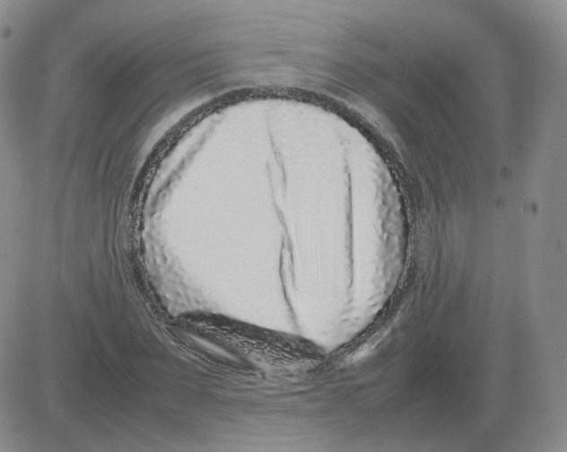 X0000082750879200702240036