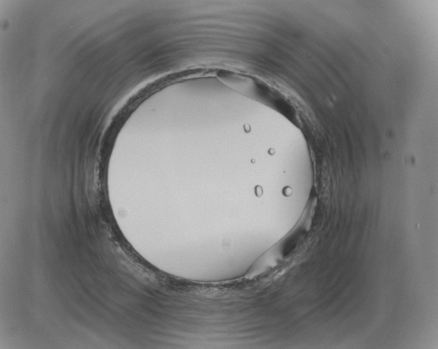 X0000082750880200702240036