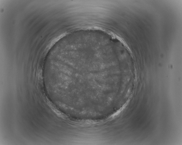 X0000082750881200702240036