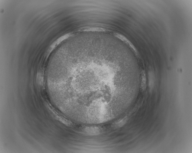 X0000082750882200702240036