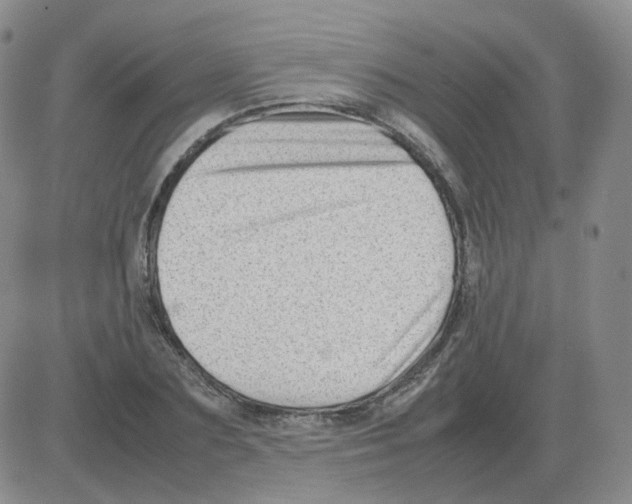 X0000082750883200702240036