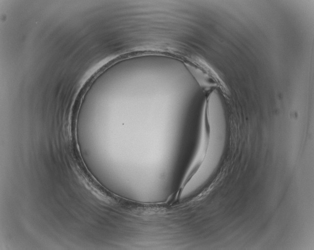 X0000082750884200702240036