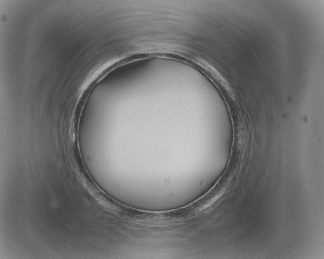 X0000082750885200702240036