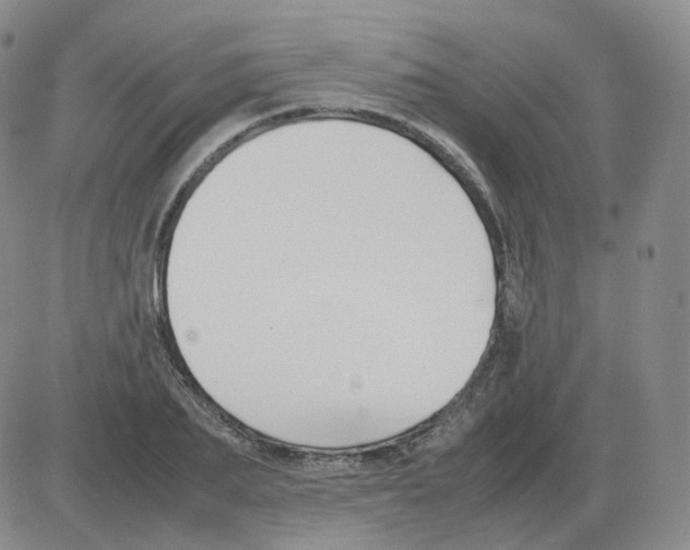 X0000082750887200702240036