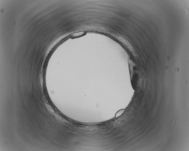 X0000082750888200702240036