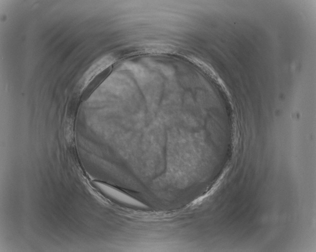 X0000082750889200702240036