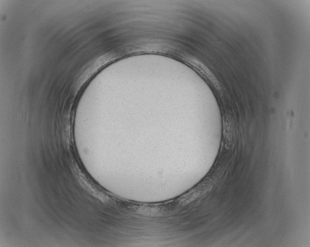 X0000082750890200702240036