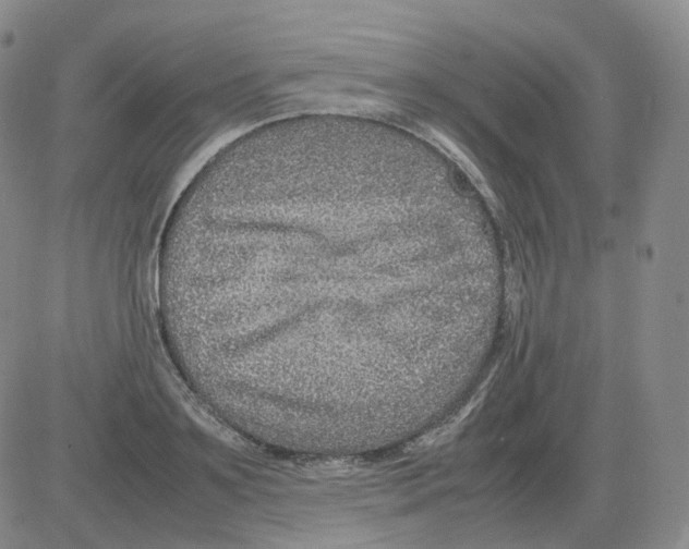 X0000082750891200702240036