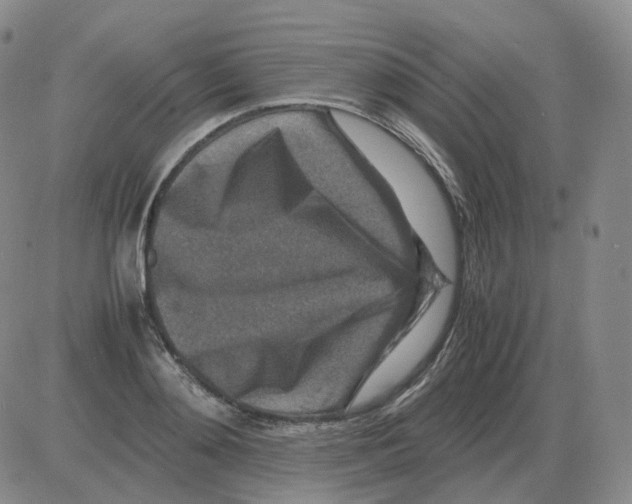 X0000082750892200702240035