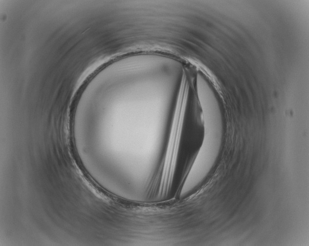 X0000082750894200702240035