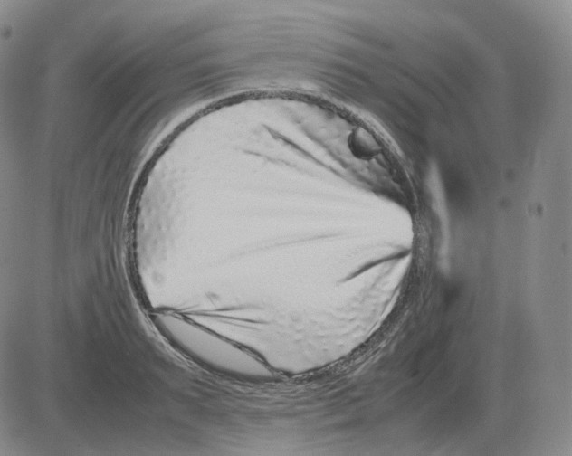 X0000082750895200702240035