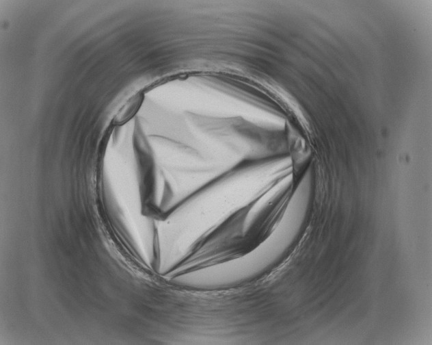 X0000082750896200702240035