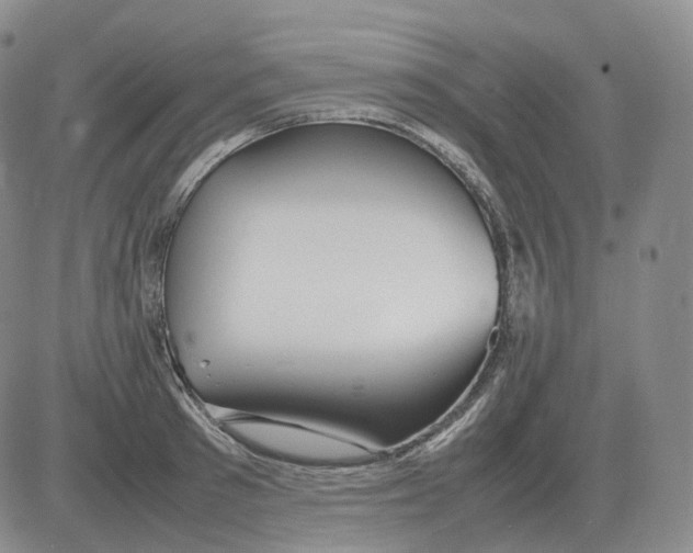 X0000082750897200702240035