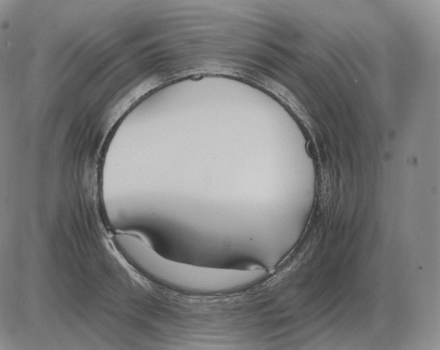 X0000082750898200702240035