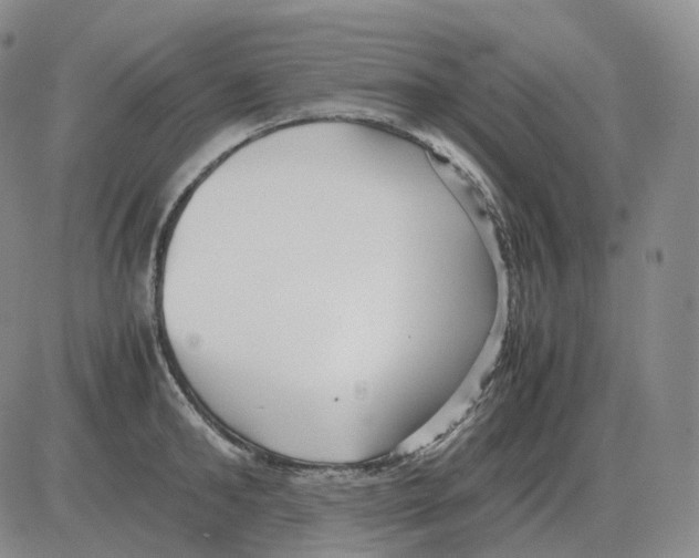 X0000082750902200702240035