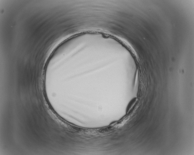 X0000082750903200702240035