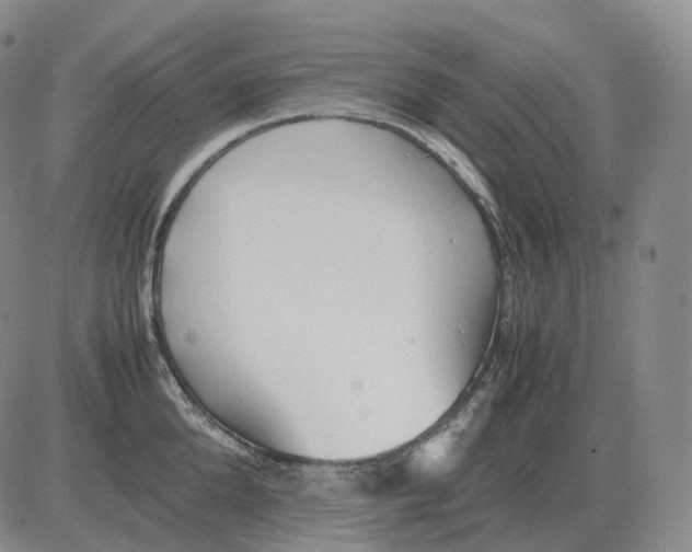 X0000082750904200702240035