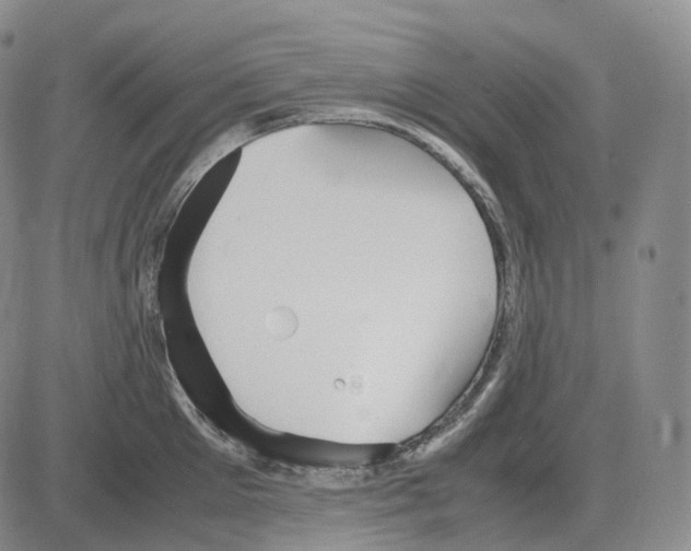 X0000082750905200702240035