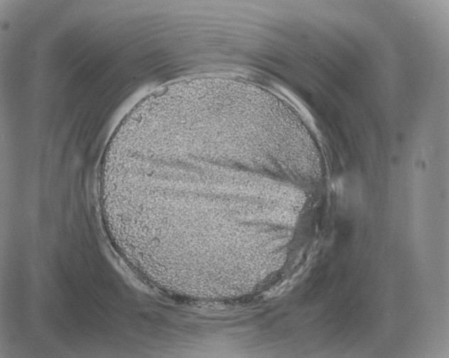 X0000082750907200702240035