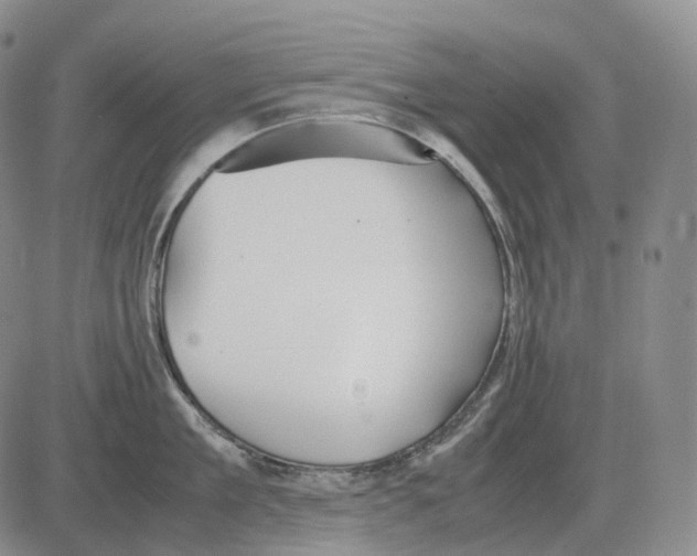 X0000082750909200702240035