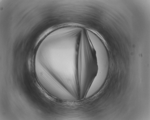 X0000082750910200702240035