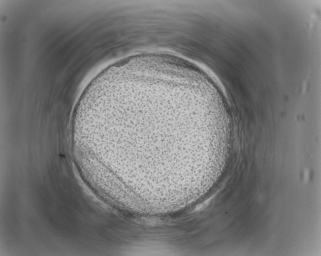 X0000082750911200702240035