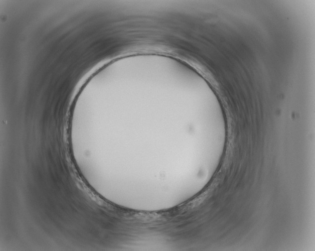 X0000082750912200702240035