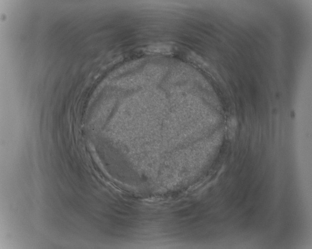 X0000082750913200702240034