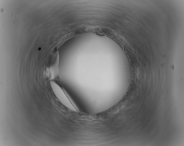 X0000082750914200702240034