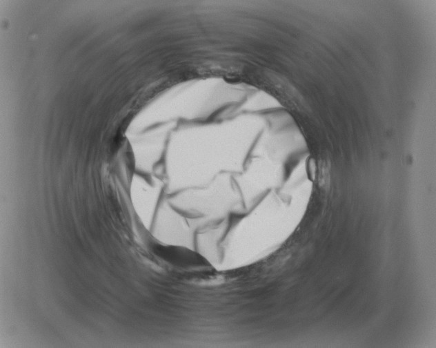 X0000082750915200702240034