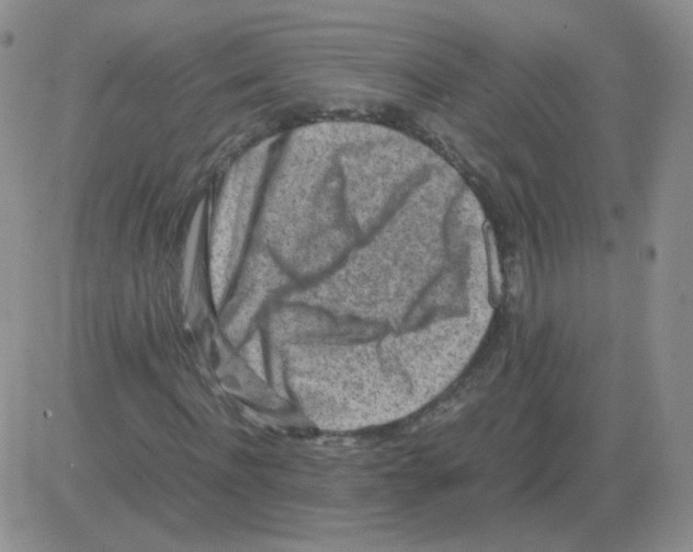 X0000082750916200702240034