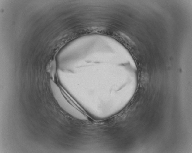 X0000082750917200702240034