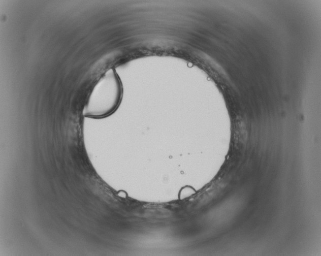 X0000082750918200702240034